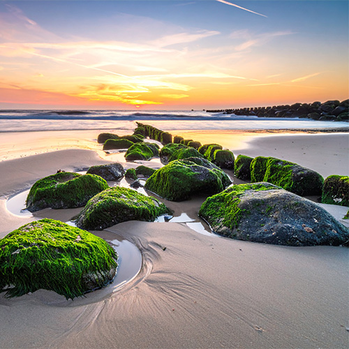 Chlorellaextract Bleu Nature skincare