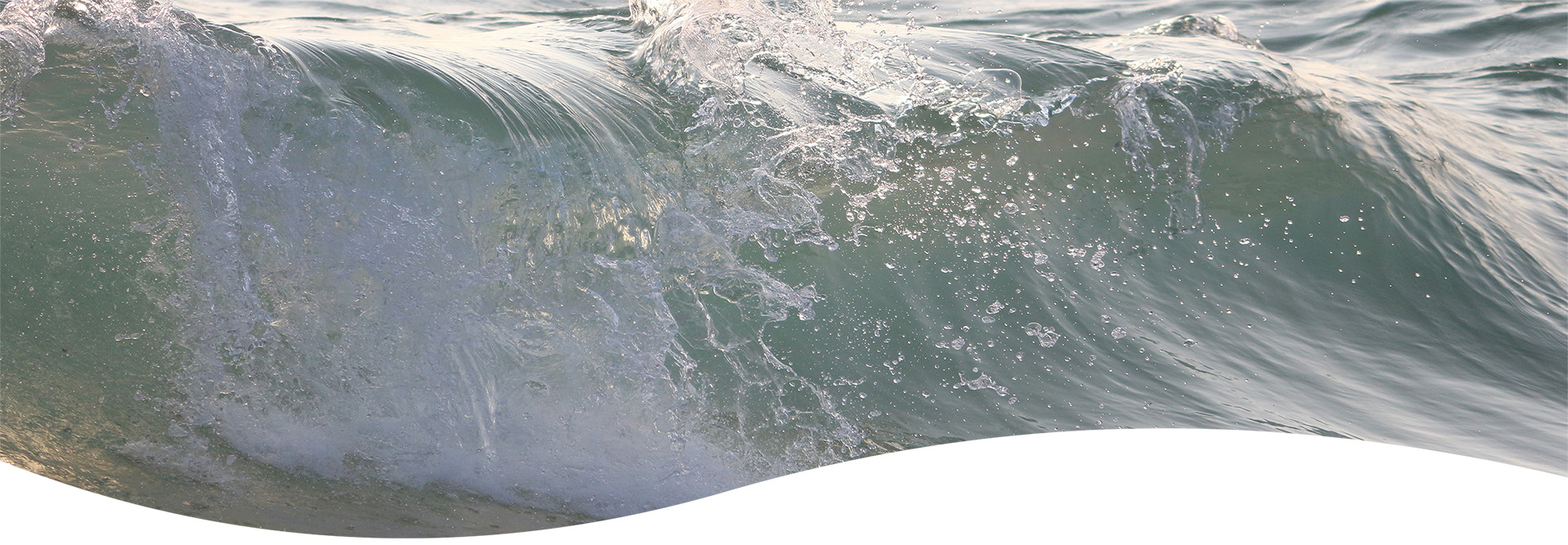 De kracht van zeewater in skincare uit de Oosterschelde